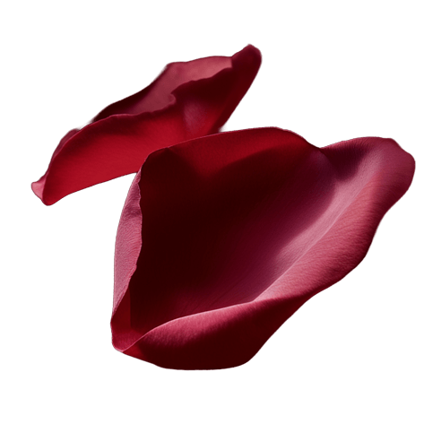 Petal